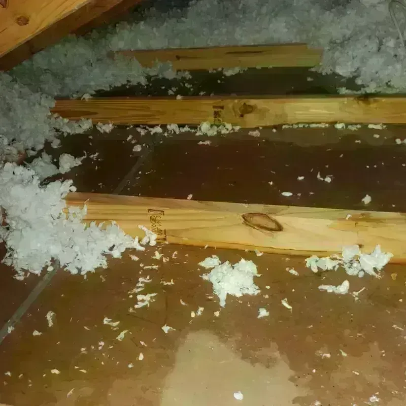 Attic Water Damage in Ringling, OK